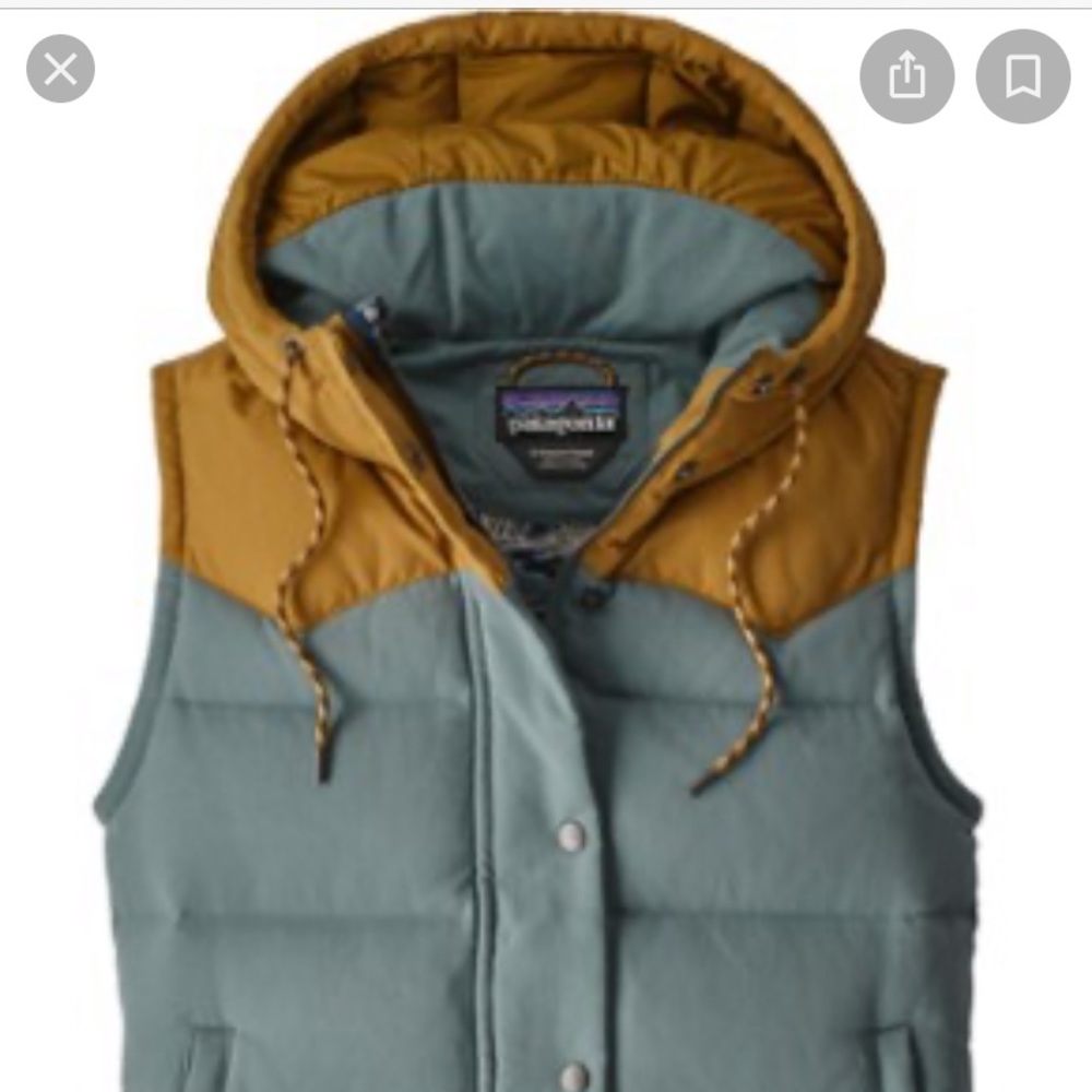 Patagonia Bivy Down Vest